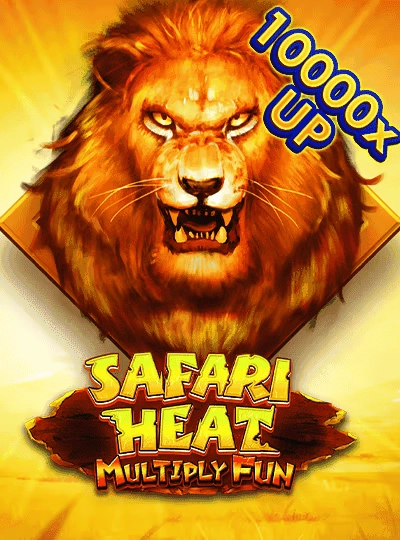T20 cricket betting cover